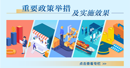 重要政策舉措及實施效果